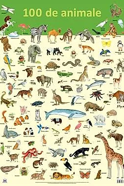 Plansa 100 de animale
