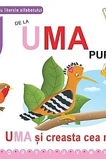 U de la Uma, pupaza - Cartonata