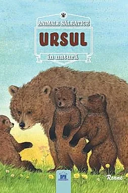 Ursul