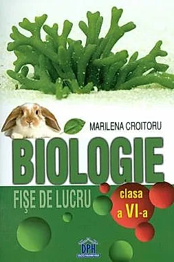 Biologie - Fise de lucru - Clasa a VI-a