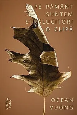 Pe pamant suntem stralucitori o clipa