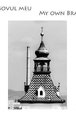 Brasovul meu