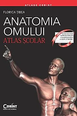 Anatomia omului. Atlas scolar