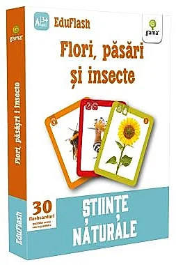 Flori, pasari si insecte