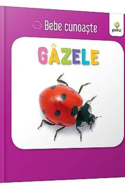 Gazele