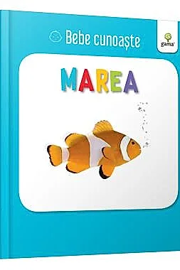 Marea