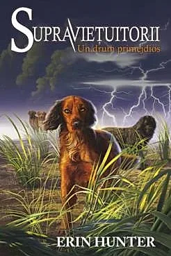 Supravietuitorii Vol.4: Un drum primejdios