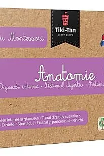 Lectii de anatomie: Organe interne. Sistemul digestiv