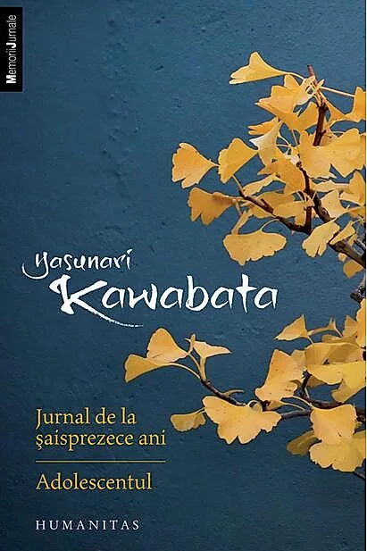 Jurnal de la șaisprezece ani. Adolescentul