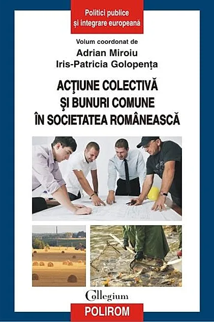 Acţiune colectivă şi bunuri comune în societatea românească
