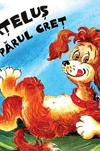 Căţeluş cu părul creţ. Să creşti mare!