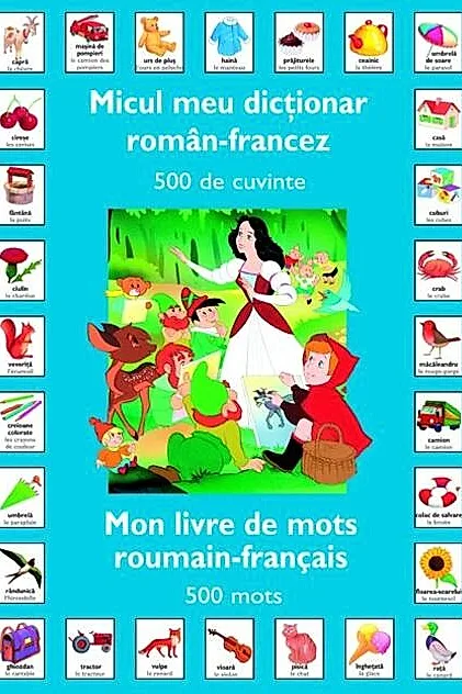 Micul meu dicționar Român-Francez (500 de cuvinte)
