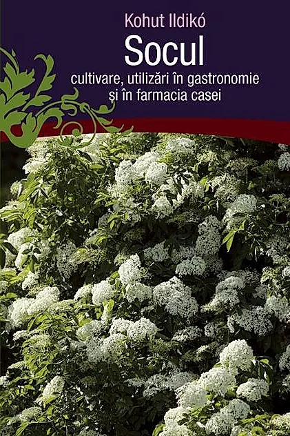 Socul: cultivare, utilizări în gastronomie şi în farmacia casei