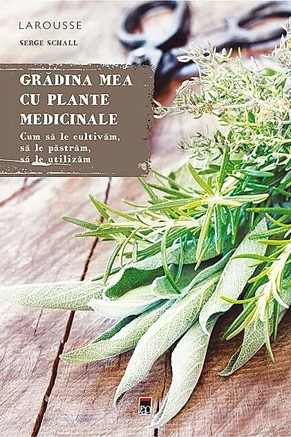 Grădina mea cu plante medicinale