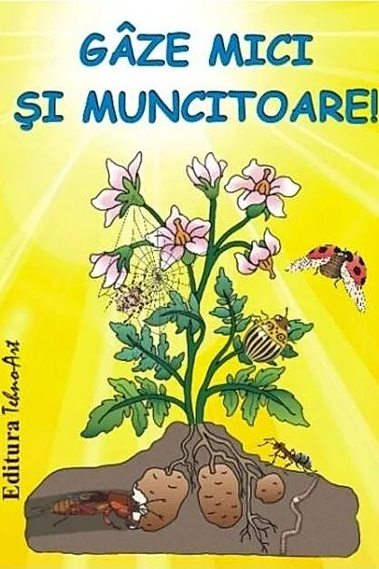 Gâze mici și muncitoare