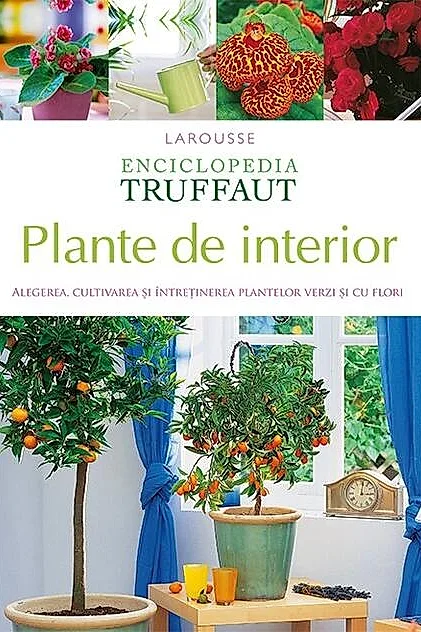 Plante de interior