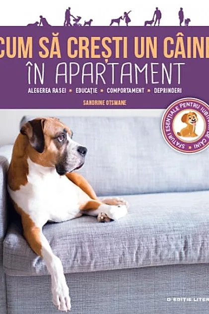 Cum să crești un câine în apartament