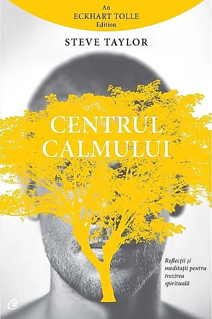 Centrul calmului