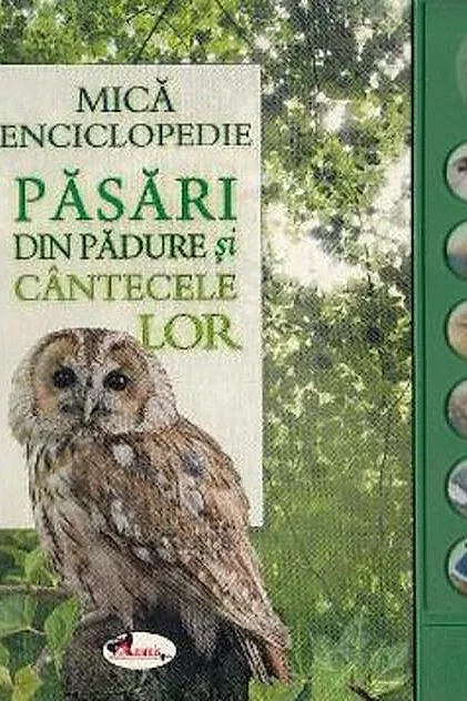 Păsări din pădure și cântecele lor