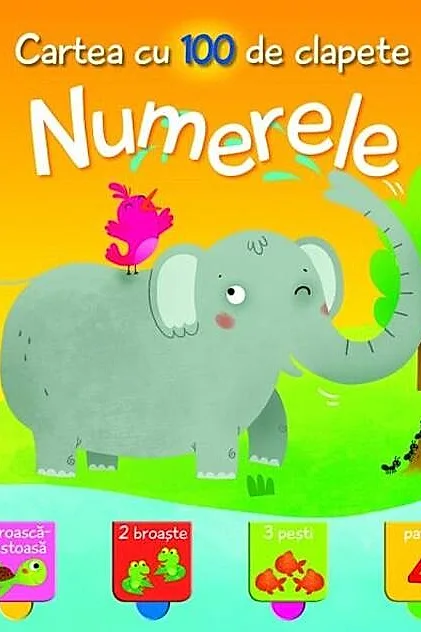 Numerele. Cartea Cu 100 De Clapete