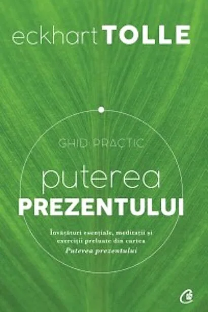 Puterea prezentului. Ghid practic