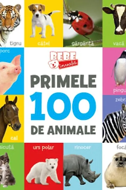Bebe învață. Primele 100 de animale