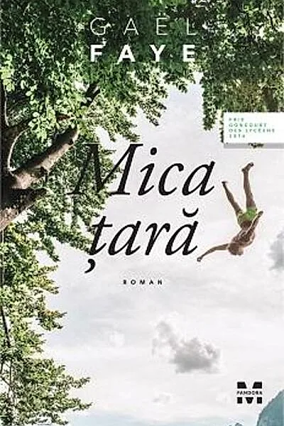 Mica țară