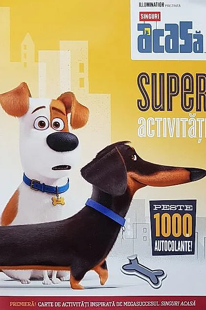 Singuri acasă: superactivități