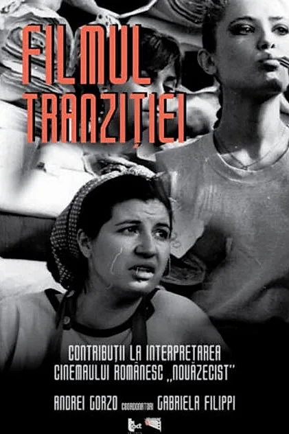 Filmul tranziției. Contribuții la interpretarea cinemaului românesc „nouăzecist”