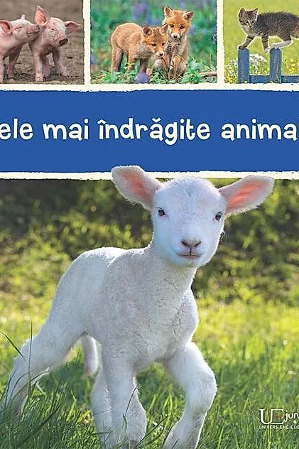 Cele mai îndrăgite animale