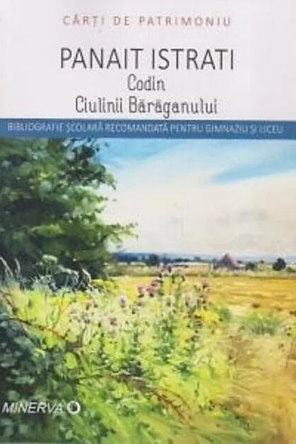 Codin. Ciulinii bărăganului