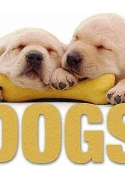 Dogs (CubeBook)