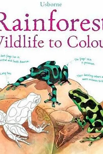 Rainforest Wildlife to Colour