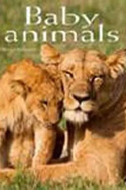 Baby Animals. Pocket Book