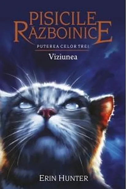 Pisicile războinice. Puterea celor trei. Viziunea (Vol.13)