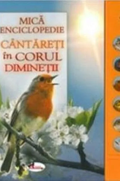 Cântăreți în corul dimineții