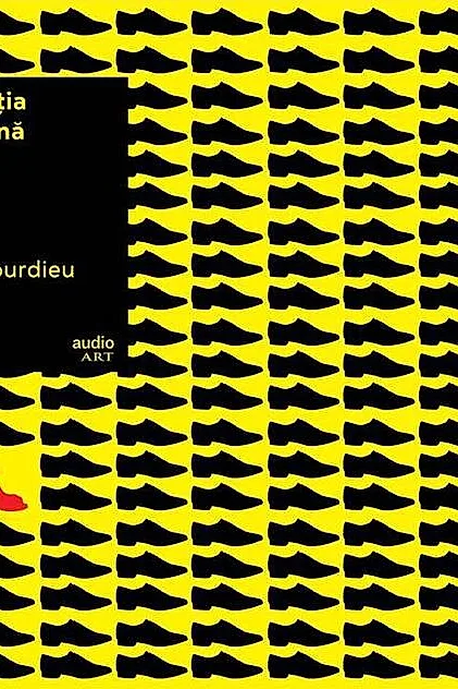 Dominația masculină | vinil audiobook