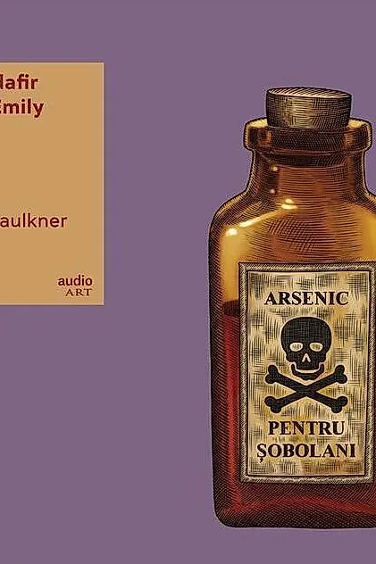 Un trandafir pentru Emily | vinil audiobook