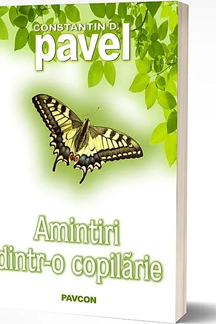 Amintiri dintr-o copilărie