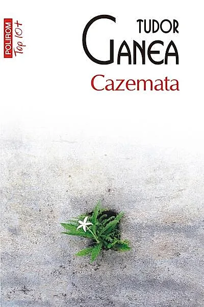 Cazemata (Top 10+)