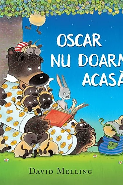 Oscar nu doarme acasă
