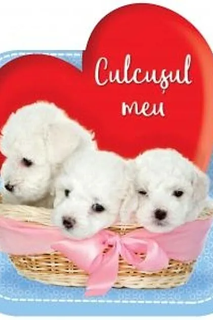 Culcușul meu