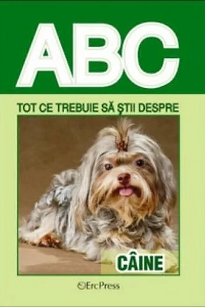 Tot ce trebuie să știi despre câine