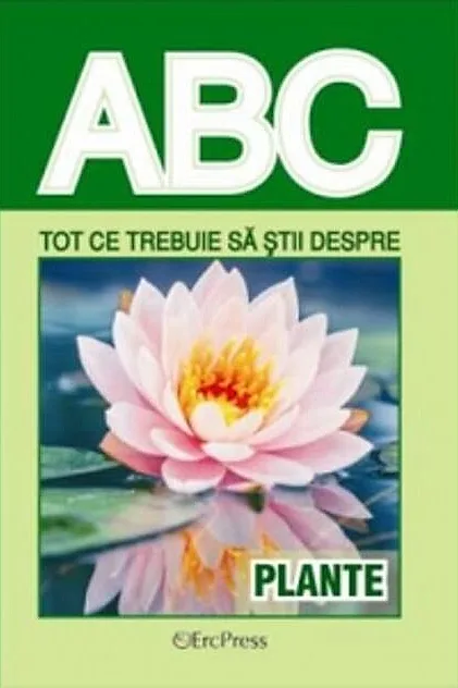 Tot ce trebuie să știi despre plante