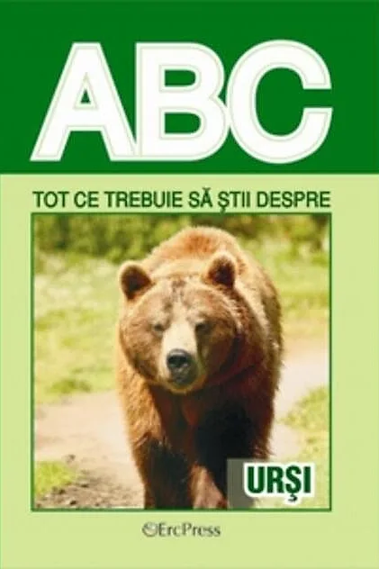 Tot ce trebuie să știi despre urși