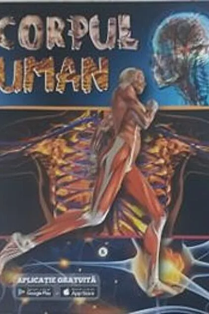 Corpul uman