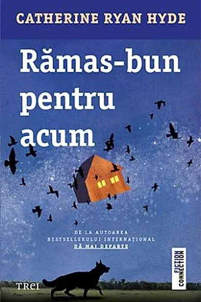 Rămas-bun pentru acum