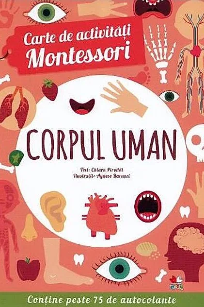Corpul uman