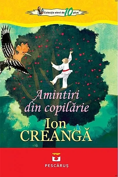 Amintiri din copilărie