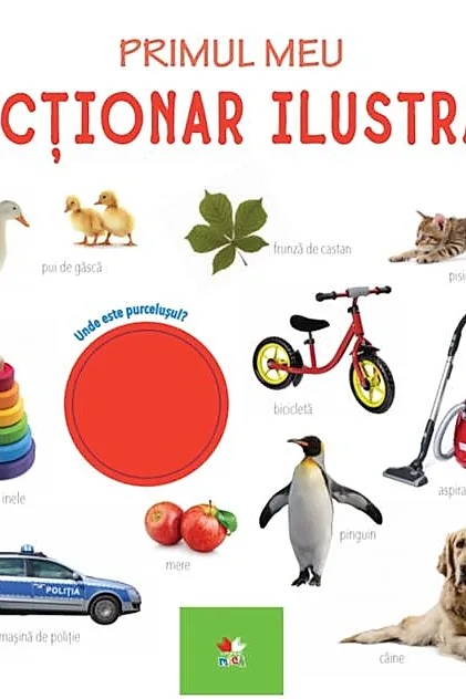 Primul meu dicționar ilustrat